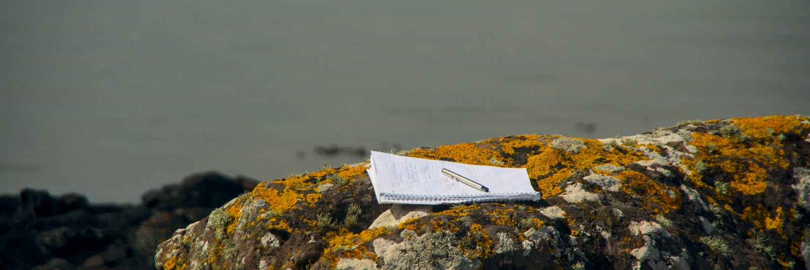 Notebook on rock by sea