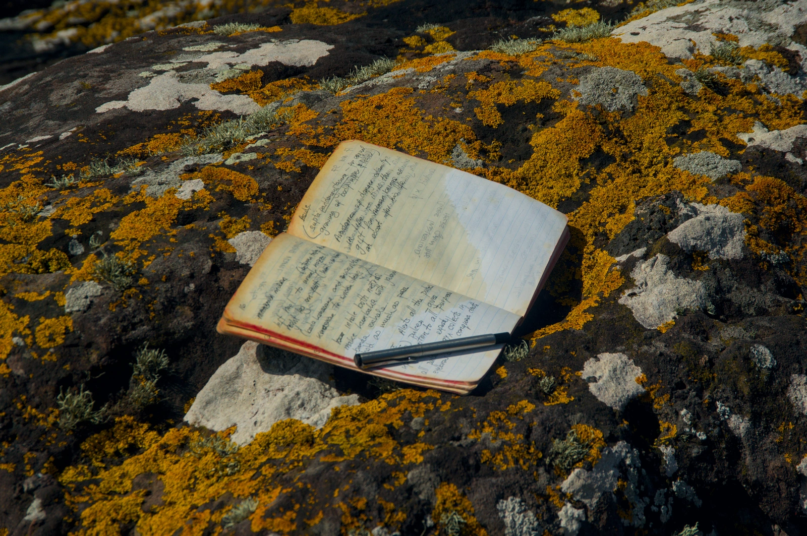 Notebook and pen by the sea