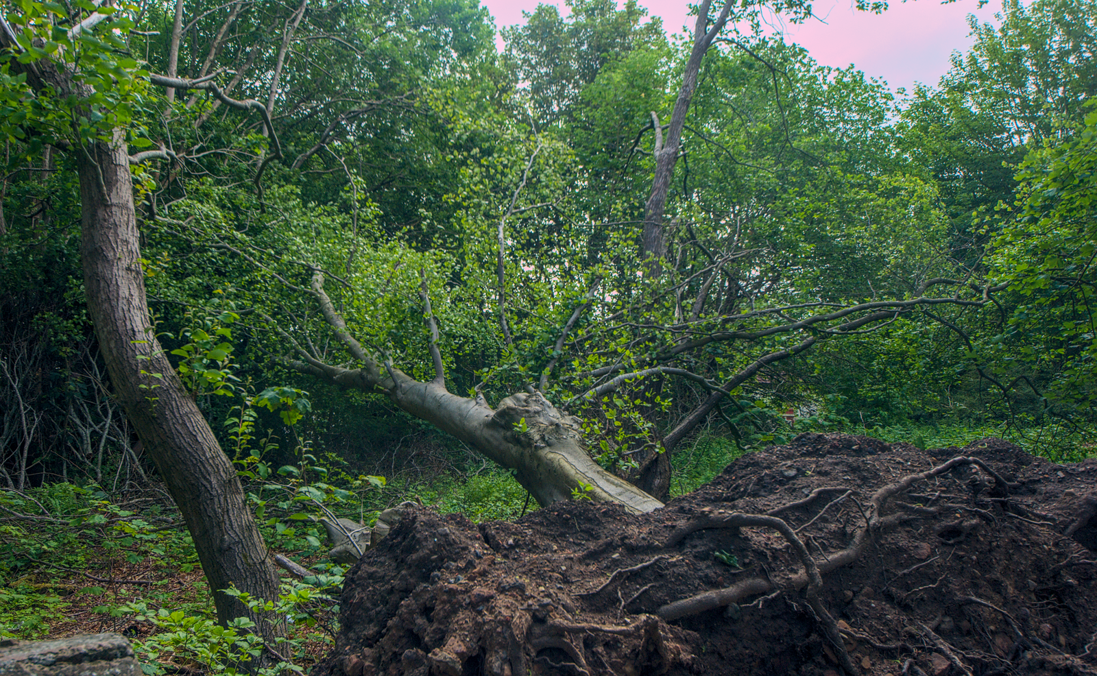 Resilience: Rebuilding After the Shock